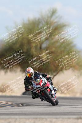 media/Oct-13-2025-Moto Forza (Mon) [[a66d839500]]/3-B Group/Session 4 Turn 4 Tree of Life/